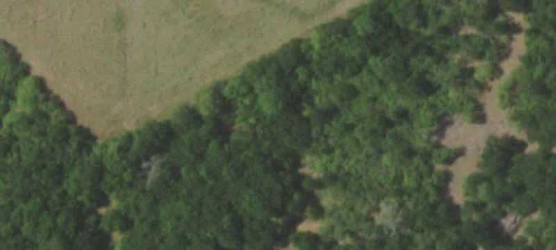 Lockhart Land with Shop and Homes