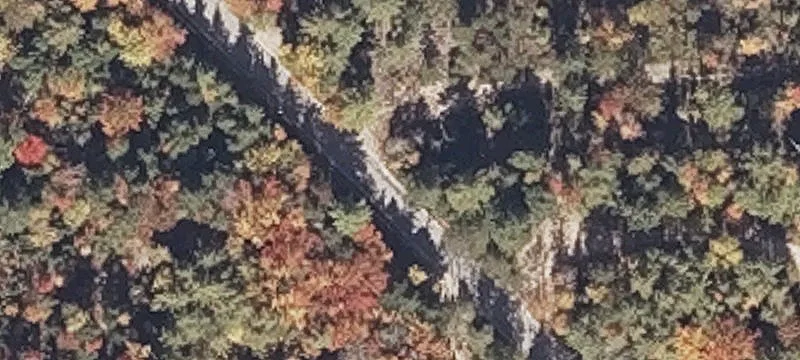 Wooded Acres in West Brownfield