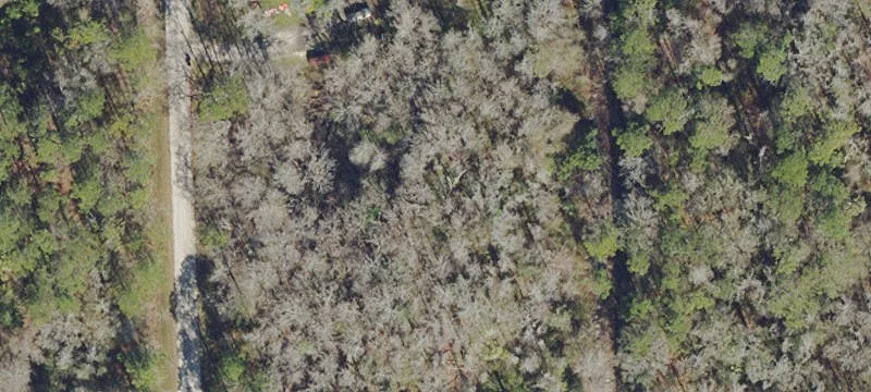Untouched Acreage in Daytona North