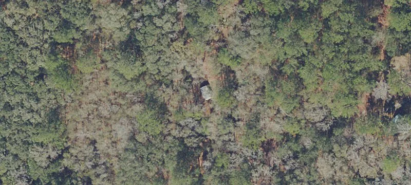 Micanopy Vacant Land Parcel