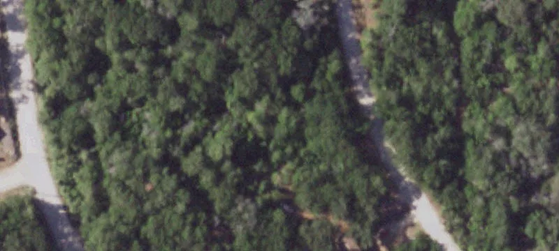Wooded Homesite in Tahitian Village