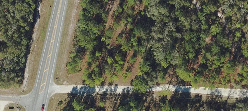 Wooded Lot for Dream Home