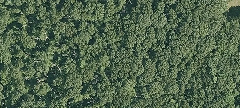 Large Acreage for Residential Development
