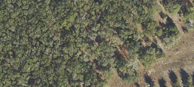 16.34 Acres Outside Bell