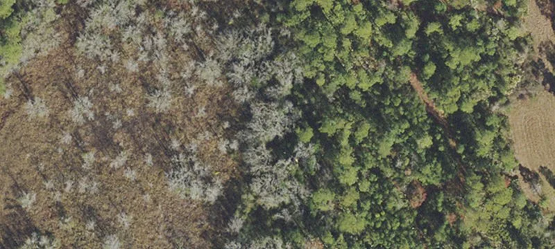 Sprawling Vacant Land with Pond