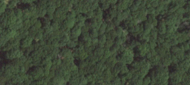 East Hampton Acreage Homesite Opportunity