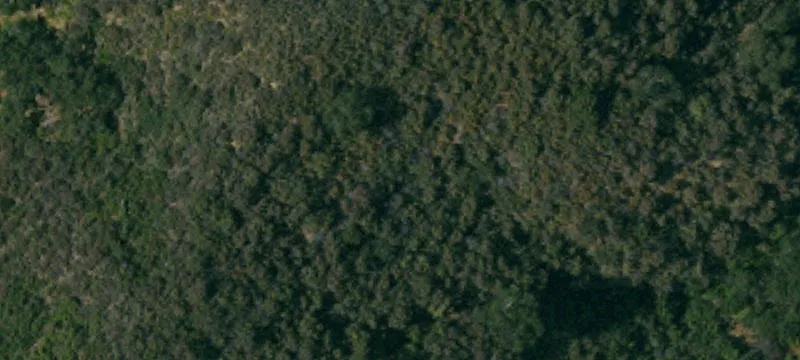 East Facing Sloped Land Parcel