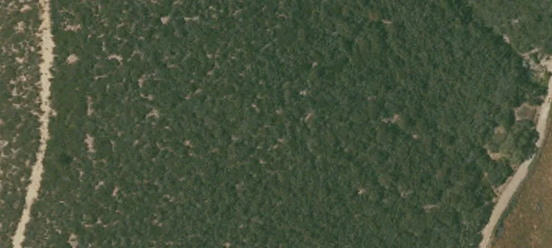 Expansive Lockwood Valley Acreage