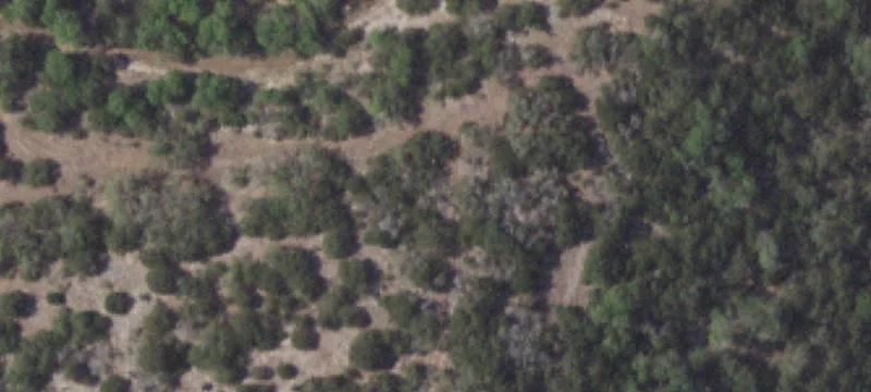 71+ Acre Hill Country Ranch