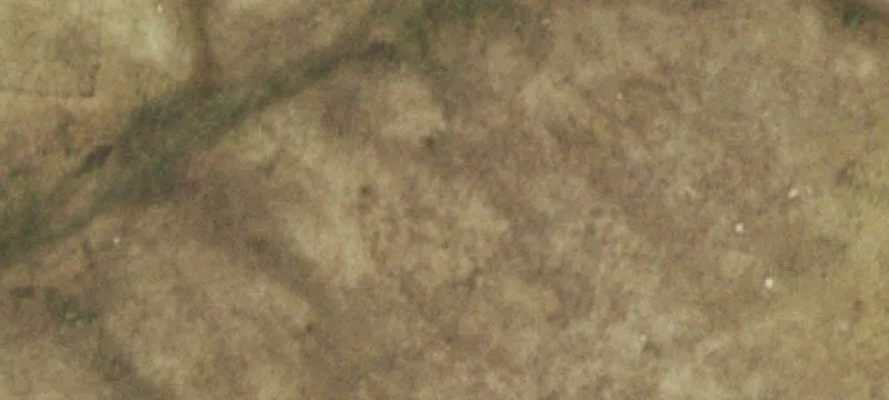 Subdividable Land with Pond