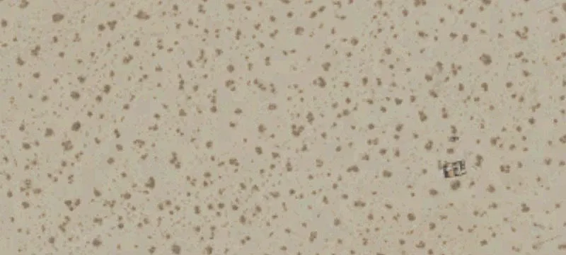 Joshua Tree Land Parcel