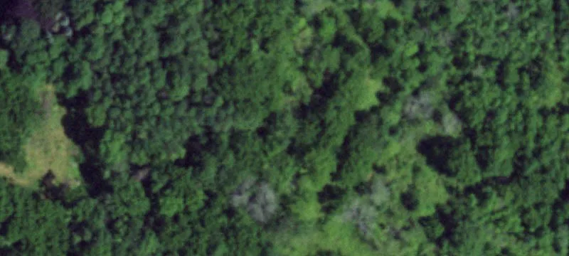 5-Acre Lot with Utilities