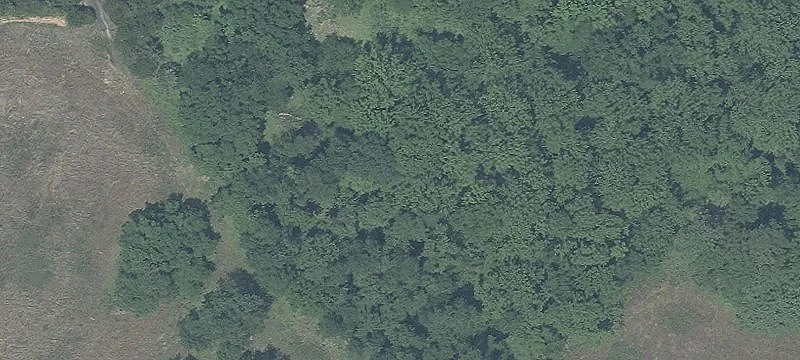 25 Acre Lot in Germantown