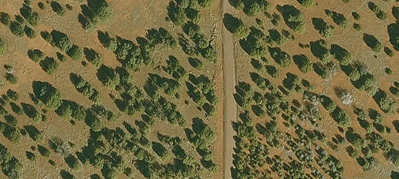 Residential Land in Show Low