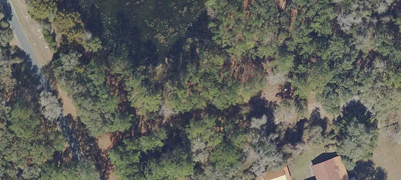 Lake Elizabeth Waterfront Homesite