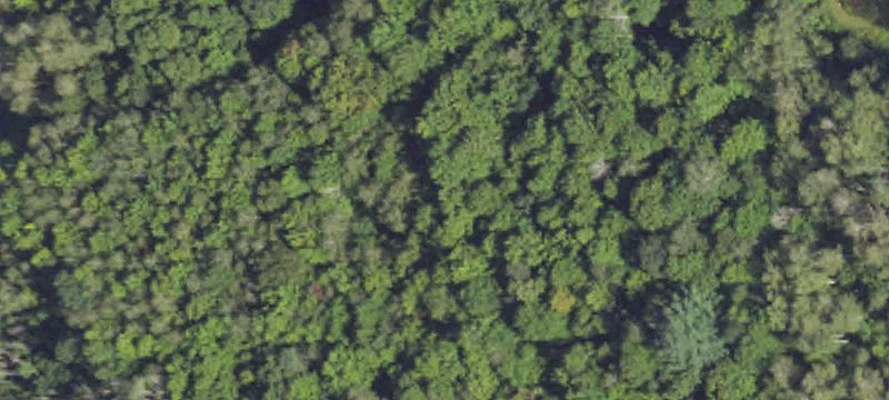 Land Available in Kent City