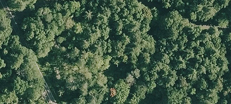 Private Lot in Great Barrington