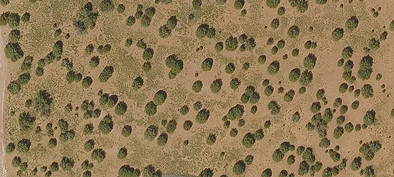 Land with Building Site Potential