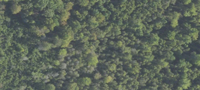 5 Acre Parcel Near Horse Park