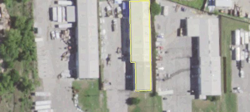 Buda TX IOS Opportunity
