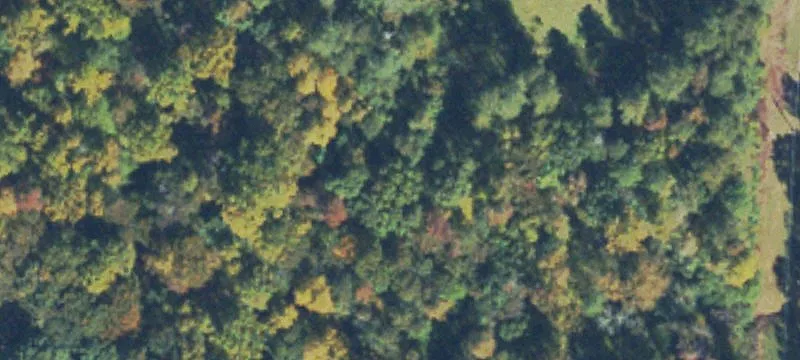 Land For Sale Braselton