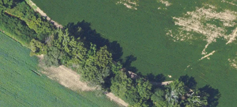 168 AC Land For Sale