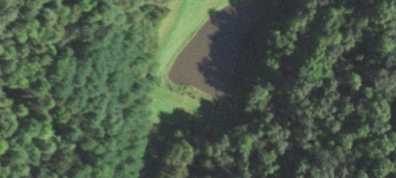 25 Acres Wooded Land