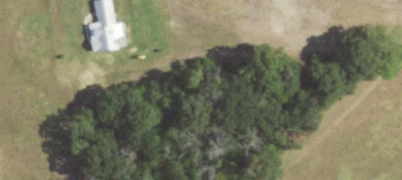 Lindale Estate with Income Potential