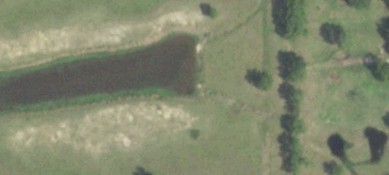 Cypress Development Opportunity: 19.96 Acres