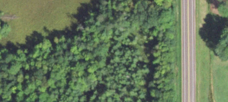5.1 Acres Wooded Land Holcombe