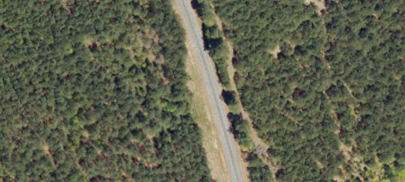 80 Acres in Abbeville