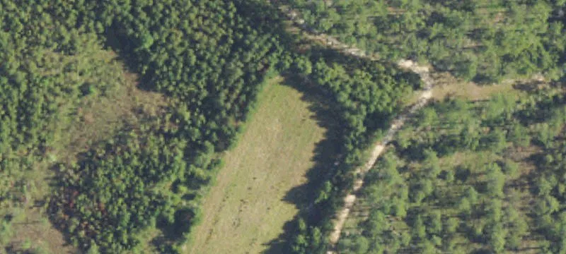 Citronelle Land For Sale