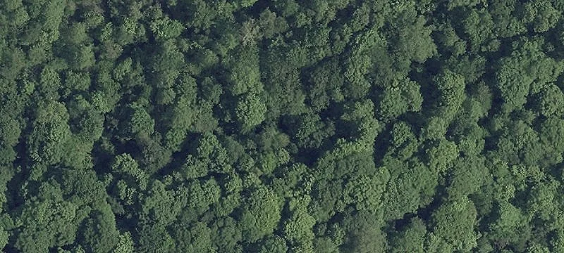 22.7 Acres with Frontage