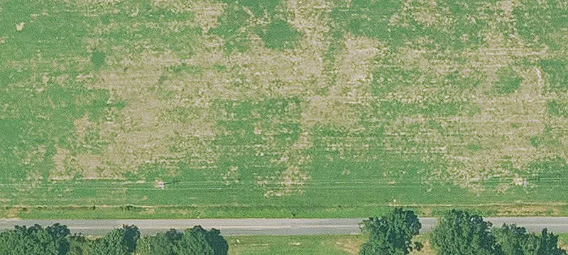 Gillham Lake Road Land