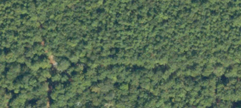 Richmond County Land Parcel