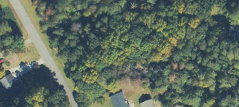 Wooded Acreage in Loganville