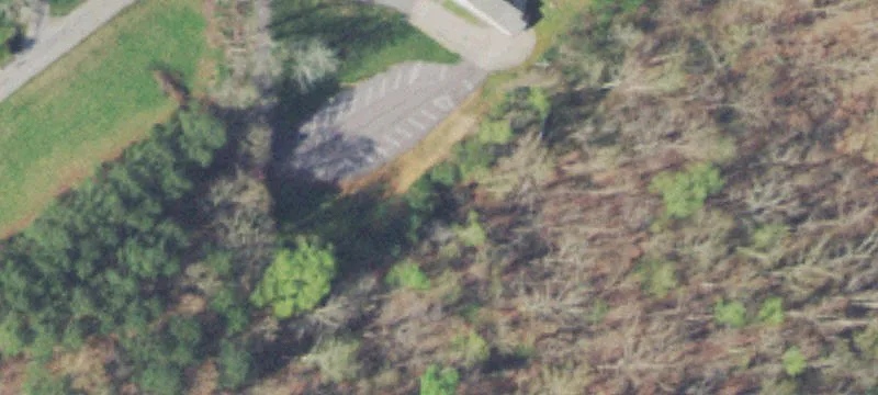 95 Acres in Decatur, TN