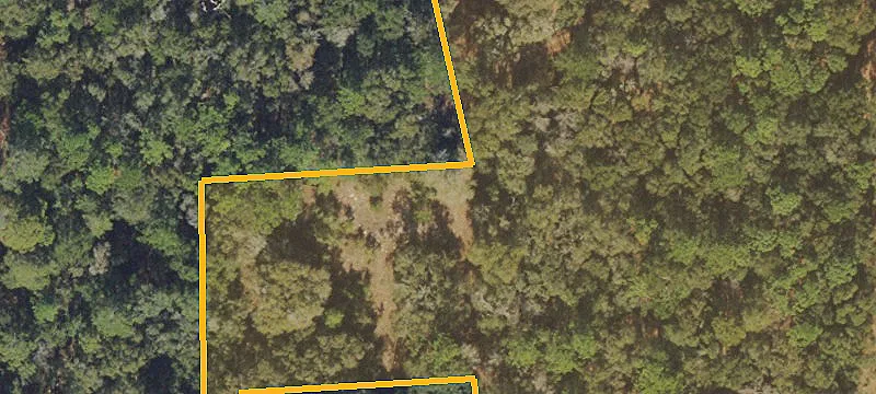 Sumterville Vacant Land Opportunity