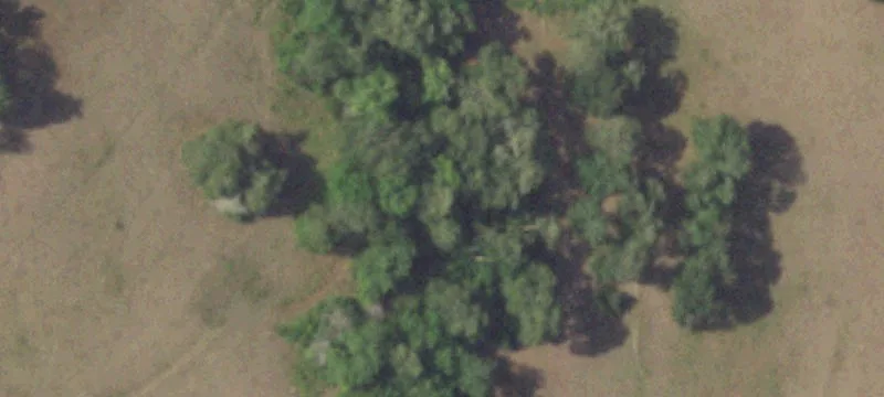 Bellville Estate on 38 Acres