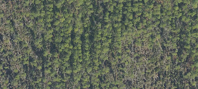 Apalachicola Homesite in River's Edge