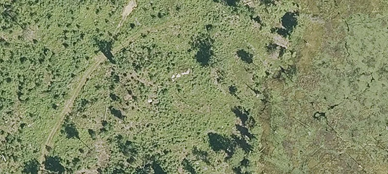 Barnstead Land for Equestrian Dream