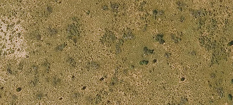 Vast Land Parcel in Snowflake