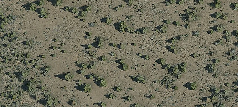 Wooded Land in Gated Community
