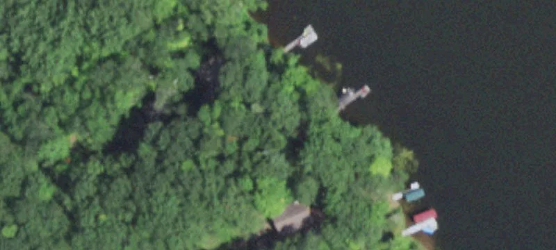 Wooded Lot Near Big Lake