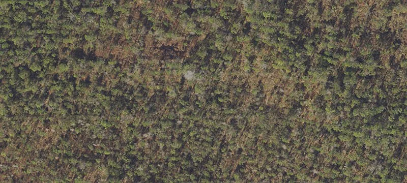 St. George Island Acre Lot