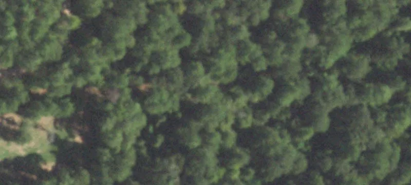 Unrestricted Land on FM 1486