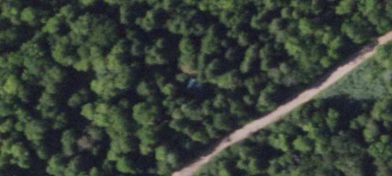 Off-Grid Cabin on Wooded Acreage