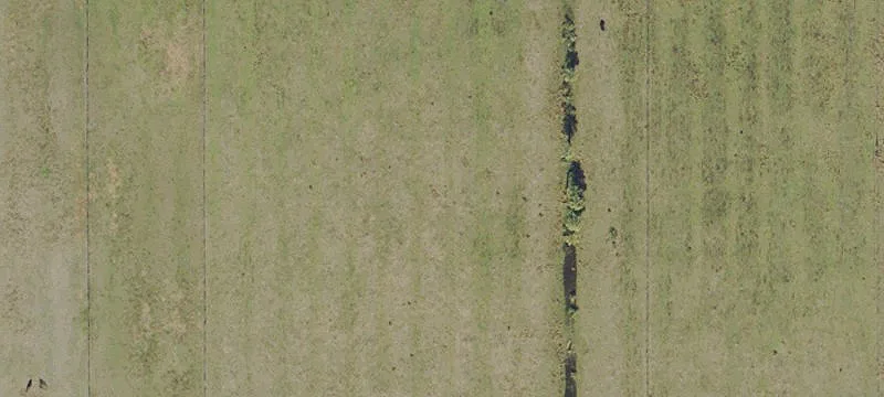 Land For Sale in Lithia