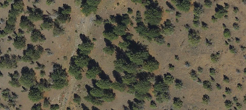 156 Acres in Central Oregon