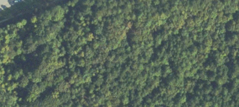 Land on Danielsville Road
